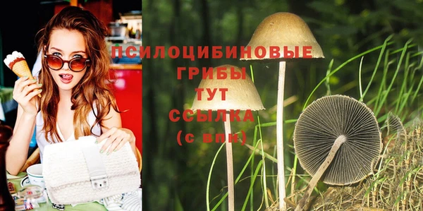 МДМА Арсеньев
