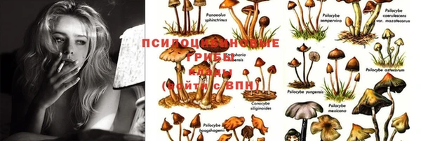 кокс Аркадак