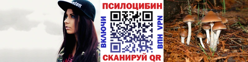 гидра ТОР  Сорочинск  Галлюциногенные грибы Psilocybe 